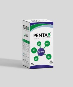 Penta B 15 gélules