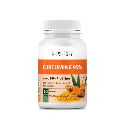 BIOHERBS CURCUMINE 95% BT 60G