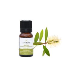 ALMAFLORE HUILE ESSENTIELLE DE NIAOULI 10 ML