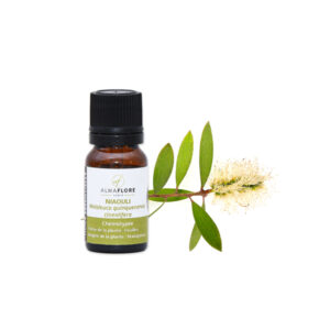 ALMAFLORE HUILE ESSENTIELLE DE NIAOULI 10 ML