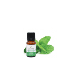 ALMAFLORE HUILE ESSENTIELLE MENTHE POIVRE 10ML