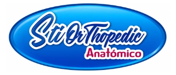 STI Logo