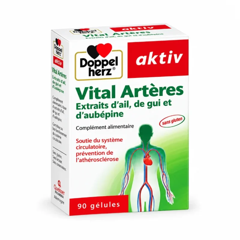 AKTIV VITAL ARTERES, 90 Gélules